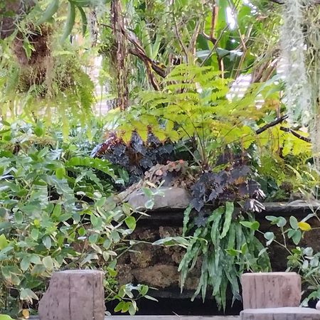 Sareeviengping Hotel Chiangmai Чиангмай Экстерьер фото